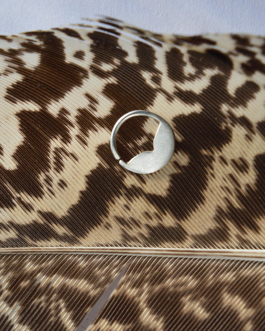 כנפיים אף תכשיטים