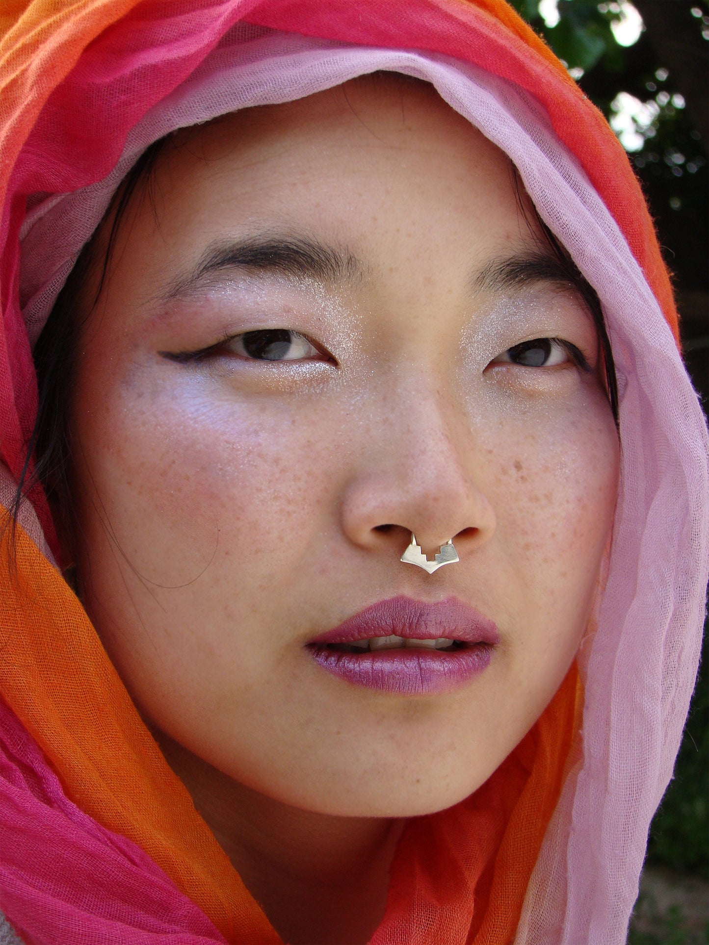 geometric septum