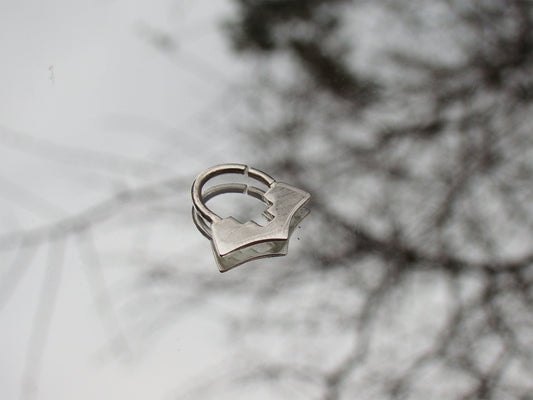 geometric septum