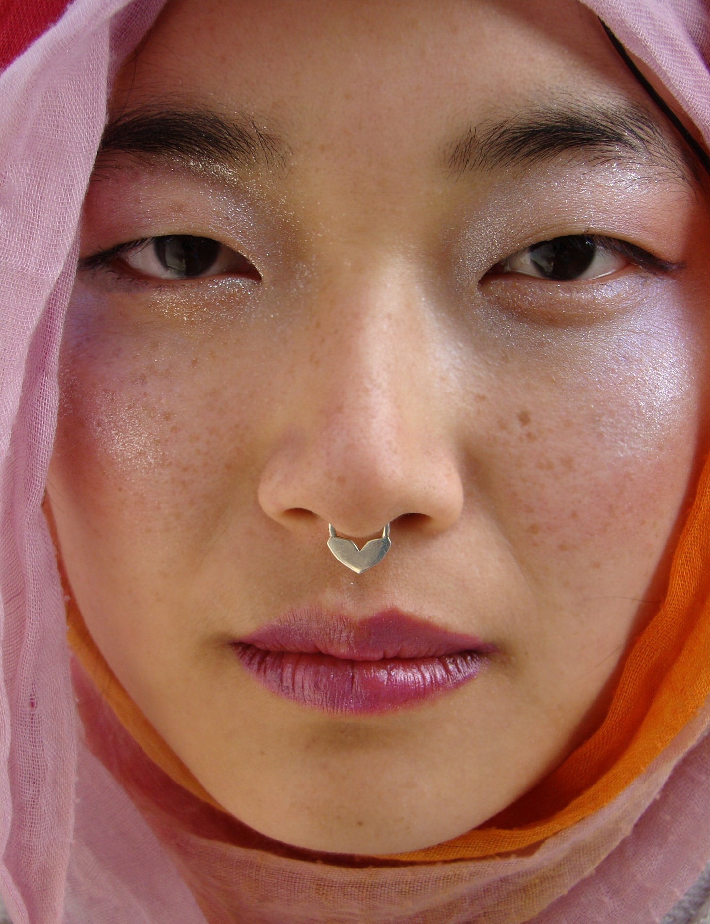 geometric heart septum