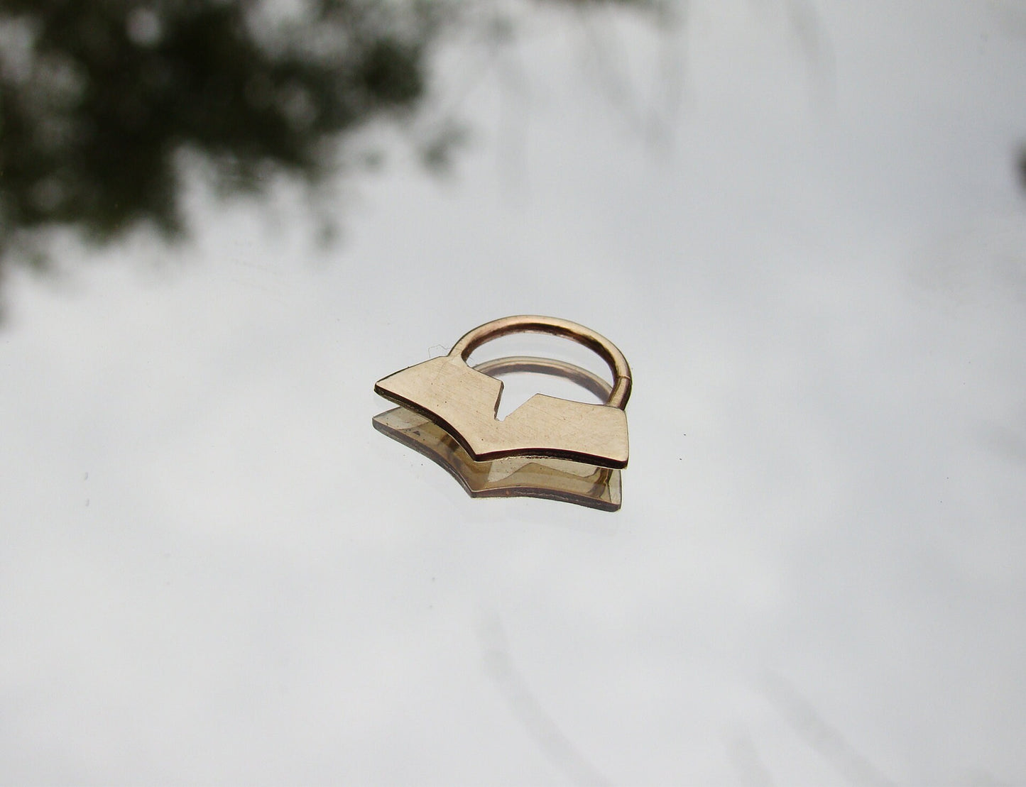 Geometric septum
