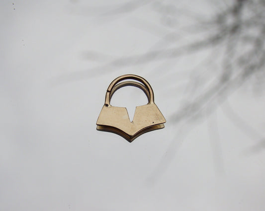 Geometric septum
