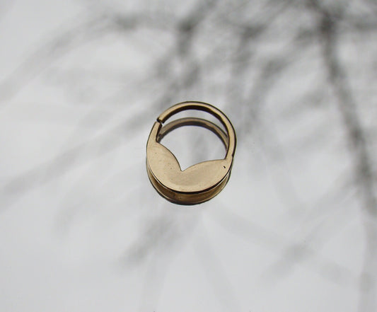 עגיל האף עם כנפי זהב-