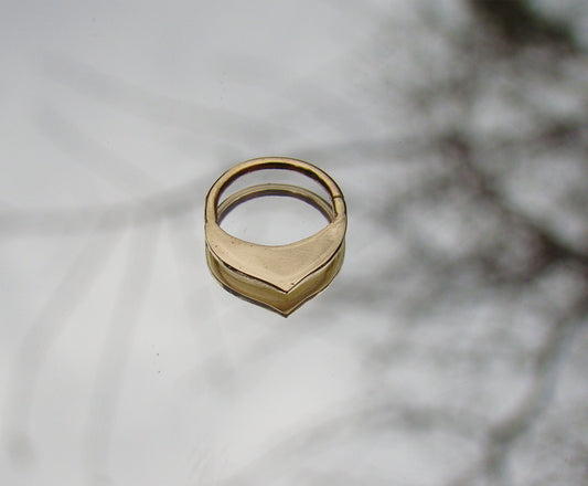 טבעת ספטום איננה