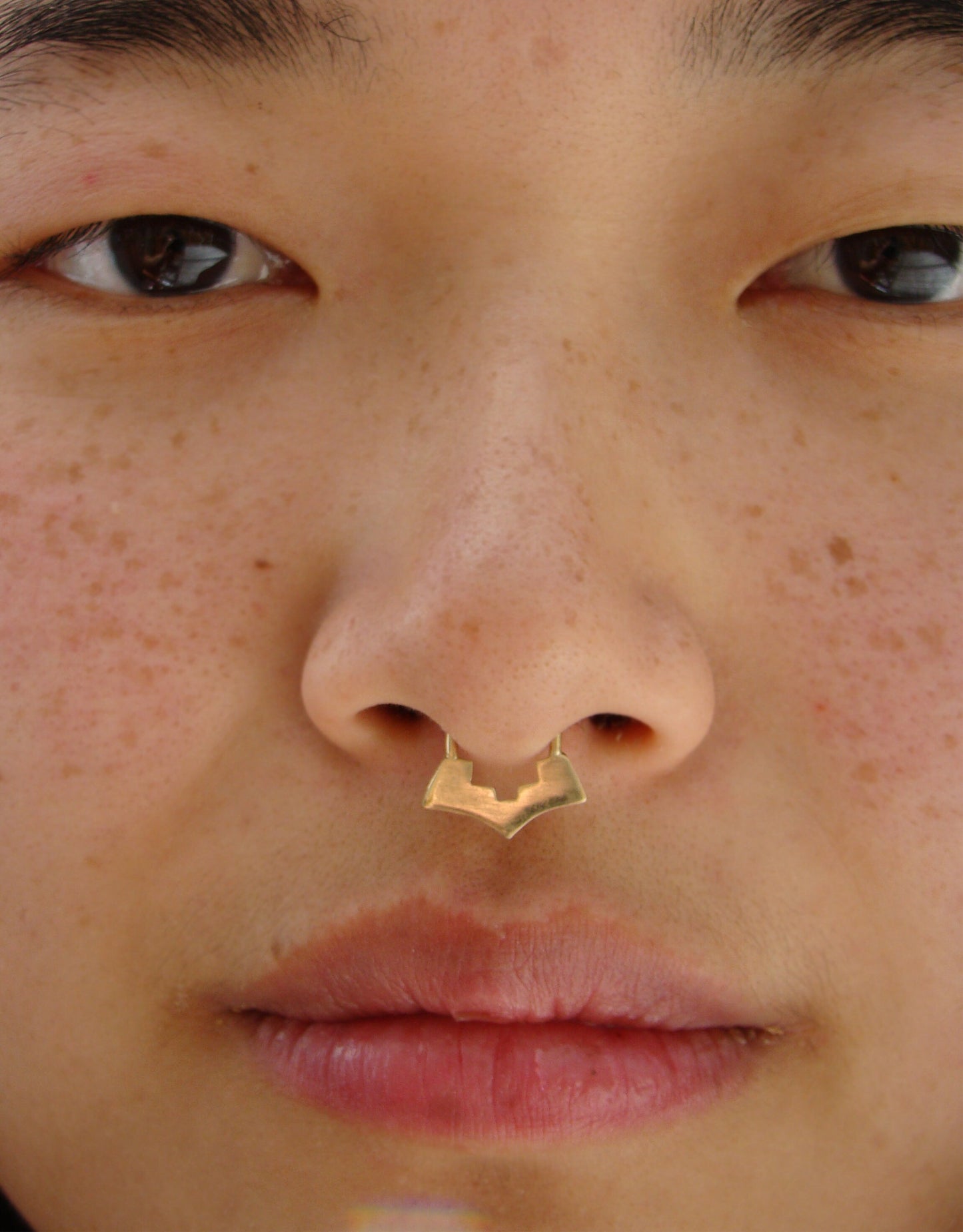 geometric septum Ring