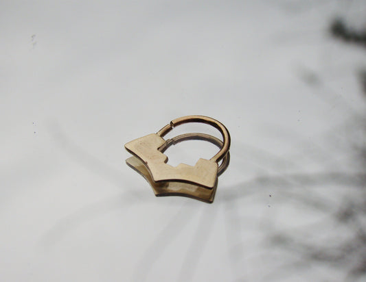 geometric septum Ring