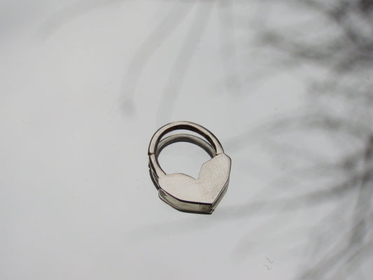 geometric heart septum
