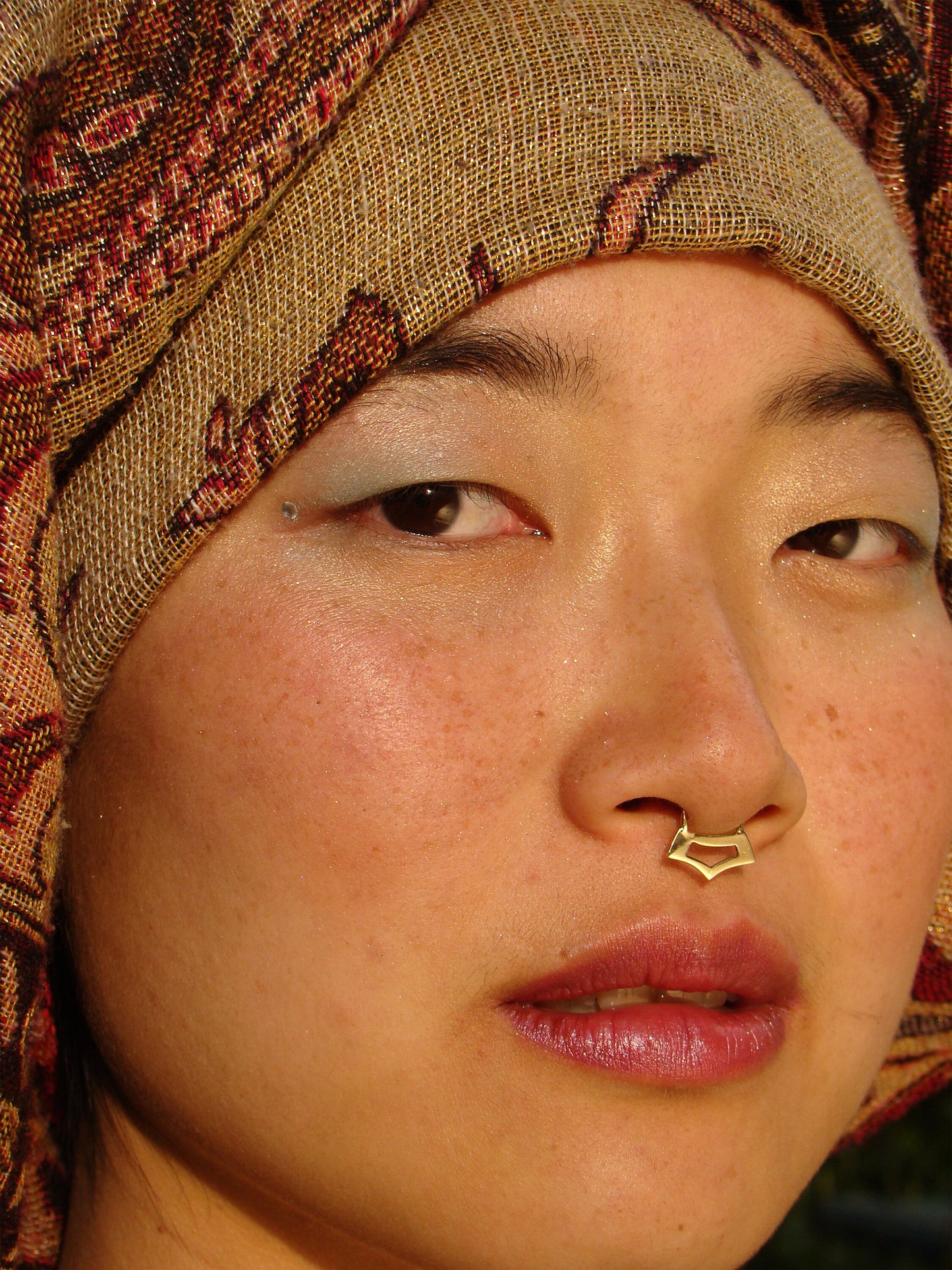 Geometric Silver septum