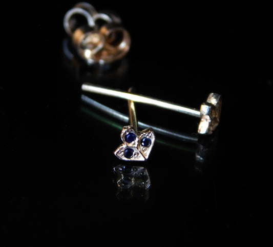 סטוד קטן לאף ספארי