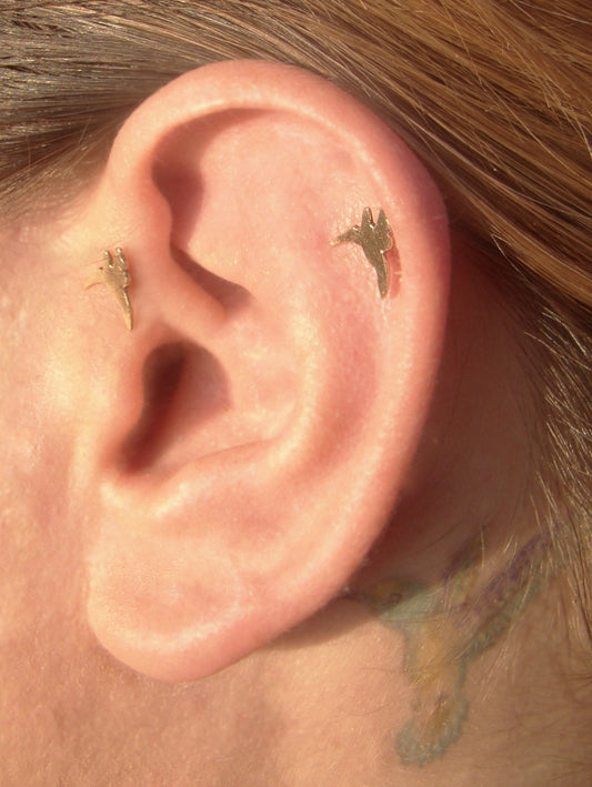 Hummingbird gold earrings