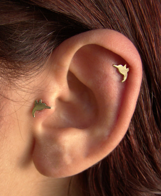 Gold Hummingbird piercing