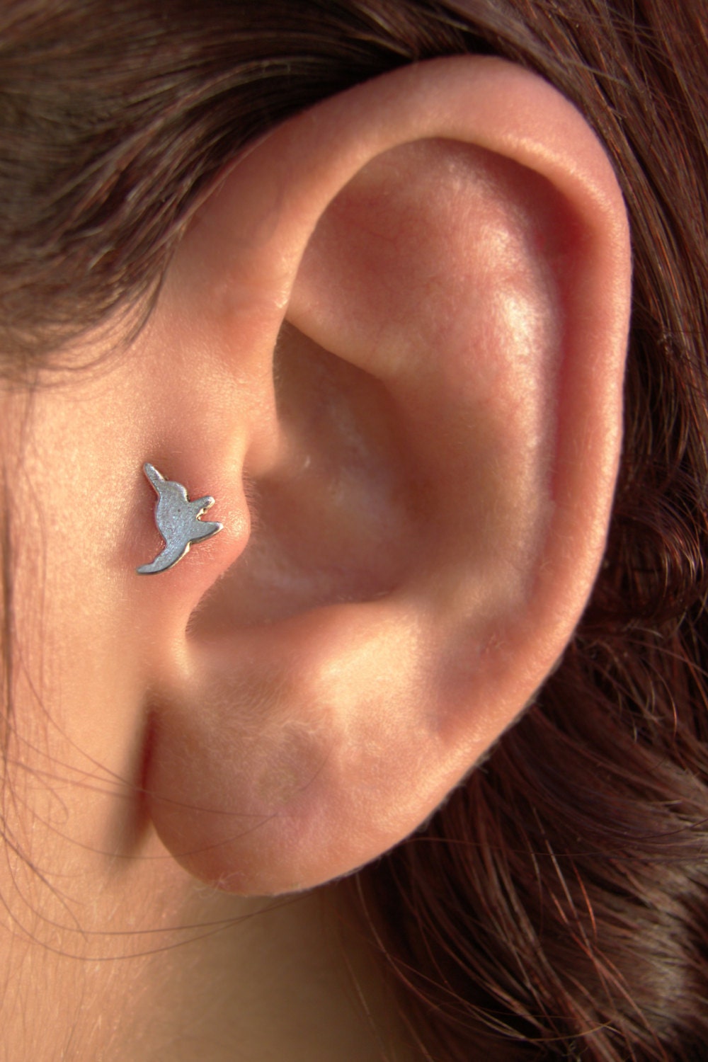 Hummingbird nose stud