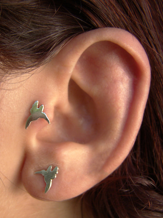 Gold Hummingbird dainty stud earrings