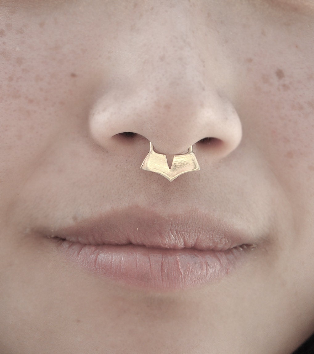 Geometric septum